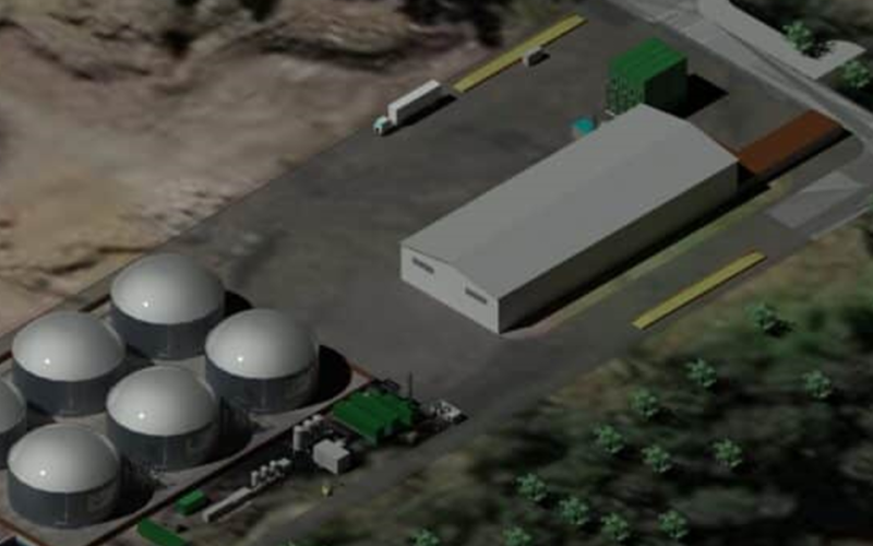 Bioenergy Facility Horsley Park economic impacts